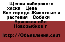 Щенки сибирского хаски › Цена ­ 12 000 - Все города Животные и растения » Собаки   . Брянская обл.,Новозыбков г.